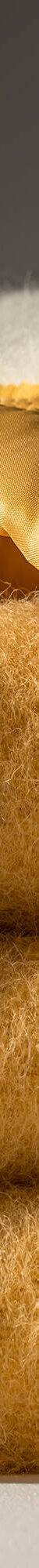 Couverture bicolore pure laine 600 g/m² (miel) Couverture bicolore pure laine 600 g/m² (miel)